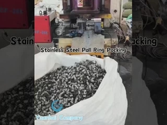 Ring Pall Logam Baja Berkualitas Tinggi untuk Pengolahan Gas dan Distilasi