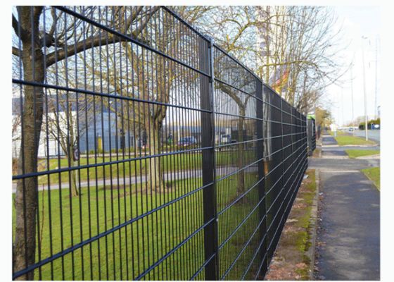 Mesh 25 Mm X 25 Mm Double Wire Loop Fence Metal Welded Wire Mesh