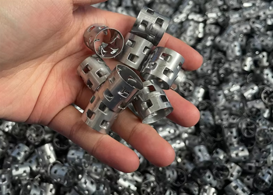 SS304 SS316L Metal Pall Ring Random Packing for Chemical Towers