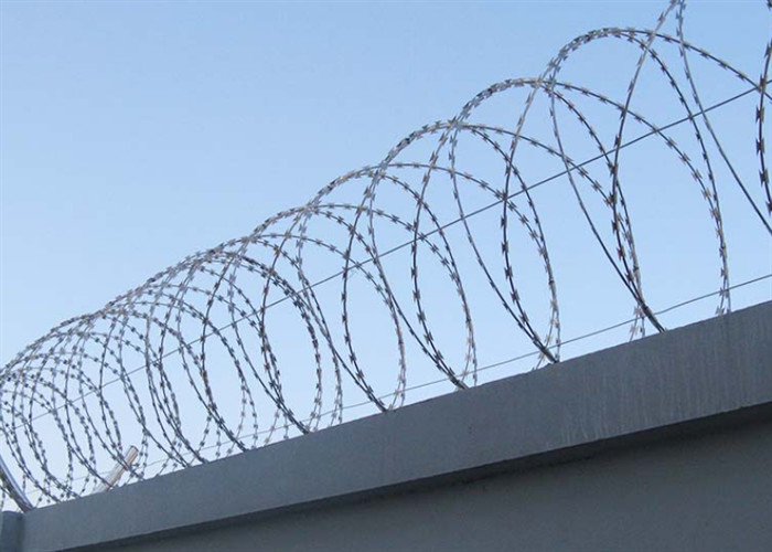 Hot Dip Galvanized Cbt 65 Razor Wire PVC Dilapisi 900mm Untuk Pagar Batas