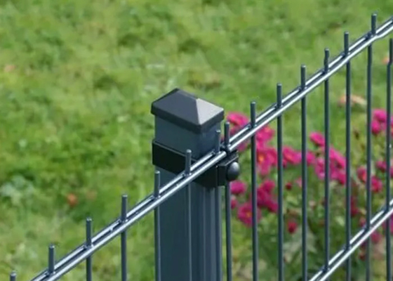 Powder Coated Green Color Double Rod Mat Pagar Untuk Taman 1,8*3m